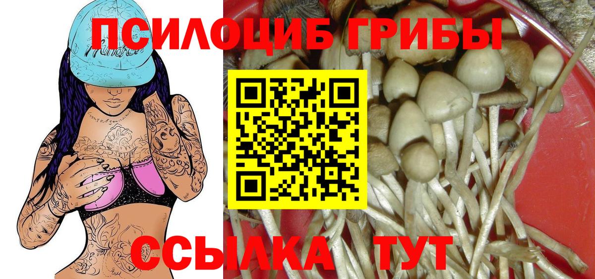 Галлюциногенные грибы Psilocybine cubensis Сатка