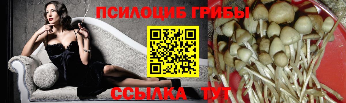Сатка  Псилоцибиновые грибы мицелий  Вход с VPN  Псилоцибиновые грибы MAGIC MUSHROOMS 